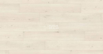 Ламинат Haro Tritty 100 Campus 4V ДУБ ЭМИЛИЯ БЕЛЫЙ 541542 фото 1 | FLOORDEALER