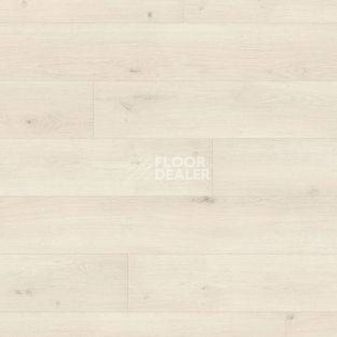 Ламинат Haro Tritty 100 Campus 4V ДУБ ЭМИЛИЯ БЕЛЫЙ 541542 фото 1 | FLOORDEALER
