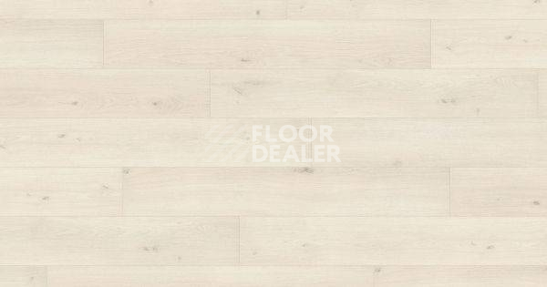 Ламинат Haro Tritty 100 Campus 4V ДУБ ЭМИЛИЯ БЕЛЫЙ 541542 фото 1 | FLOORDEALER