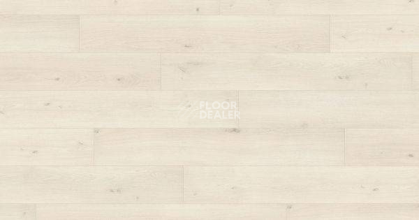 Ламинат Haro Tritty 100 Campus 4V ДУБ ЭМИЛИЯ БЕЛЫЙ 541542 фото 1 | FLOORDEALER