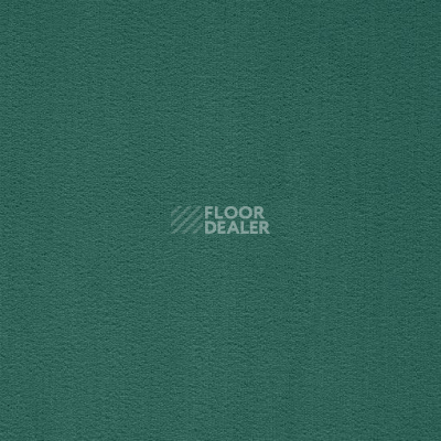 Ковролин Balta ITC President 24 фото 1 | FLOORDEALER