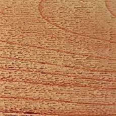 Линолеум Active Sports AS-651 Oak фото 1 | FLOORDEALER