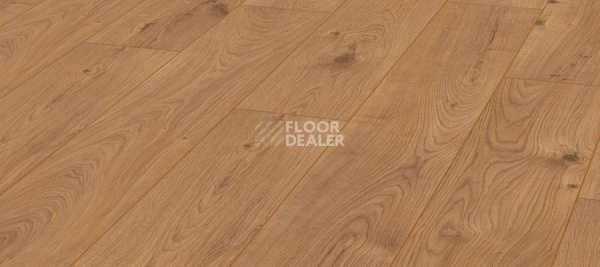 Ламинат Kronotex Exquisit 8мм d3224 Дуб Атлас Натуральный фото 1 | FLOORDEALER