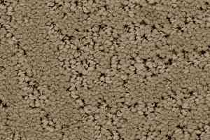 Ковролин Balsan Courchevel 630 фото  | FLOORDEALER