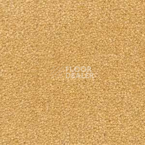 Ковролин Radici Montecarlo 14 фото 1 | FLOORDEALER