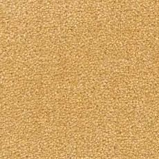 Ковролин Radici Montecarlo 14 фото 1 | FLOORDEALER