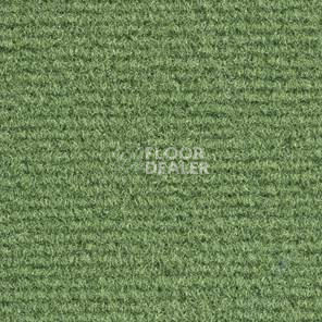 Ковролин Balsan Acadie DD Acadie 255 фото 1 | FLOORDEALER