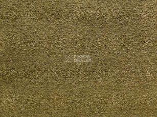 Ковролин Balta Wild Luxury Paddington 23 фото 1 | FLOORDEALER