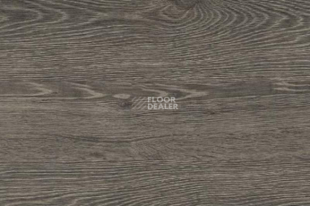 Пробковое покрытие Corkstyle Wood OAK RUSTIC SILVER фото 1 | FLOORDEALER