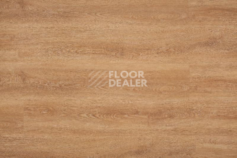 Кварцвиниловые полы Aquafloor Real Wood Glue AF6052 фото 1 | FLOORDEALER