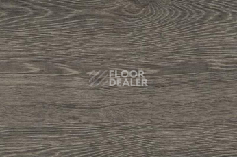 Пробковое покрытие Wood OAK RUSTIC SILVER фото 1 | FLOORDEALER