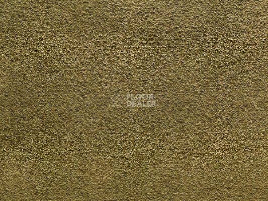 Ковролин Balta Wild Luxury Paddington 23 фото 1 | FLOORDEALER