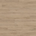 Ламинат Haro Tritty 100 Campus 4V ДУБ ВЕНЕТО КРЕМОВЫЙ 541543  | FLOORDEALER