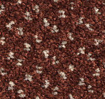 Ковролин Balsan Capitol Capitol 590 фото 1 | FLOORDEALER