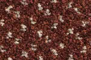 Ковролин Balsan Capitol Capitol 590 фото  | FLOORDEALER