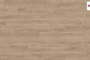 Ламинат Haro Tritty 100 Campus 4V ДУБ ВЕНЕТО КРЕМОВЫЙ 541543 фото  | FLOORDEALER