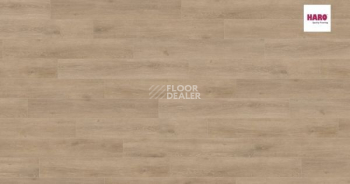 Ламинат Haro Tritty 100 Campus 4V ДУБ ВЕНЕТО КРЕМОВЫЙ 541543 фото 1 | FLOORDEALER