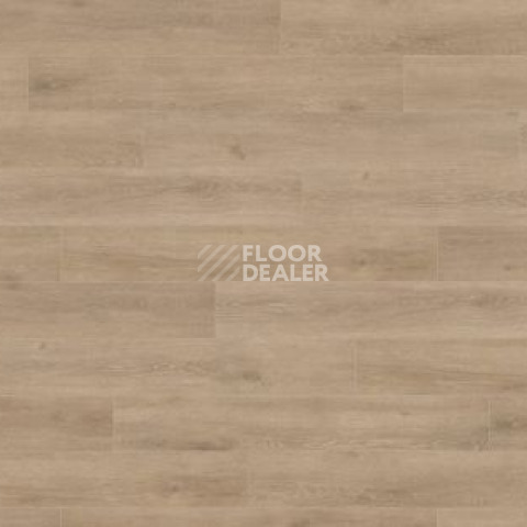 Ламинат Haro Tritty 100 Campus 4V ДУБ ВЕНЕТО КРЕМОВЫЙ 541543 фото 1 | FLOORDEALER