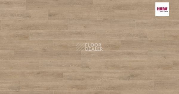 Ламинат Haro Tritty 100 Campus 4V ДУБ ВЕНЕТО КРЕМОВЫЙ 541543 фото 1 | FLOORDEALER