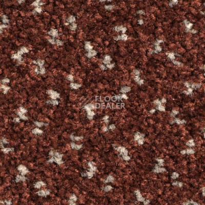 Ковролин Balsan Capitol Capitol 590 фото 1 | FLOORDEALER
