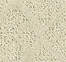 Ковролин Balsan Riziere 605 фото 1 | FLOORDEALER