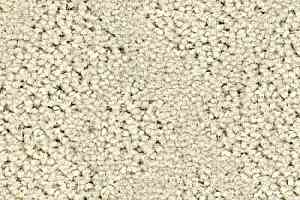 Ковролин Balsan Riziere 605 фото  | FLOORDEALER