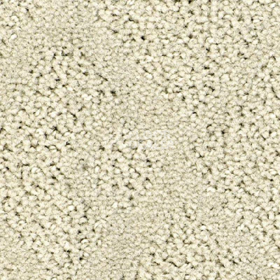 Ковролин Balsan Riziere 605 фото 1 | FLOORDEALER