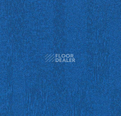 Ковровая плитка Forbo Flotex Colour Penang 50*50 t 382026 Penang Neptune фото 1 | FLOORDEALER