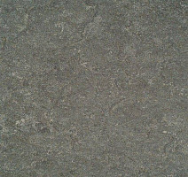 Линолеум Marmorette DLW 2.5mm 121-050 фото 1 | FLOORDEALER