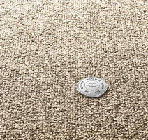 Ковролин Vorwerk Essential 1074/Parma Vorwerk 7g57 фото 1 | FLOORDEALER