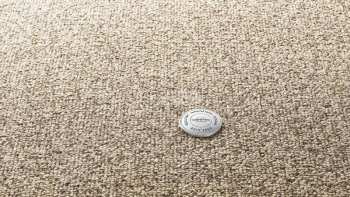 Ковролин Vorwerk Essential 1074/Parma Vorwerk 7g57 фото 1 | FLOORDEALER
