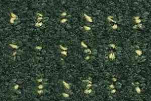 Ковролин Balsan Baccarat Baccarat 274 фото  | FLOORDEALER