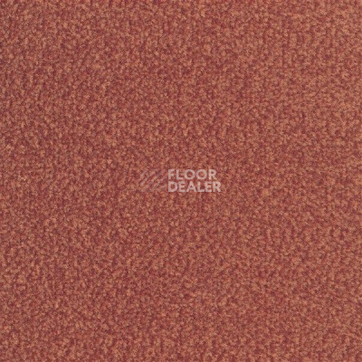 Ковролин Sintelon Velveto 27712 фото 1 | FLOORDEALER