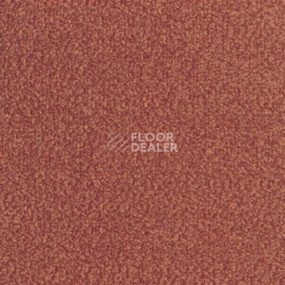 Ковролин Sintelon Velveto 27712 фото 1 | FLOORDEALER