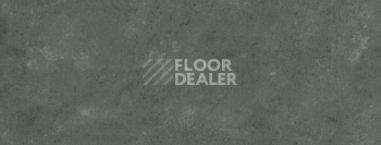 Плинтус Dollken EP 60/13 3053 фото 2 | FLOORDEALER