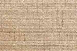 Ковролин Big Carus Rockefeller 5303 фото  | FLOORDEALER