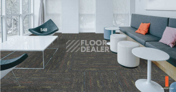 Standard Carpets LAX 548 фото 2 | FLOORDEALER