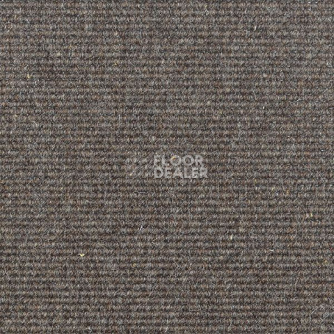 Ковролин Carpet Concept Goi 2 2607 фото 1 | FLOORDEALER