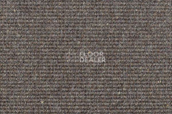 Ковролин Carpet Concept Goi 2 2607 фото 1 | FLOORDEALER