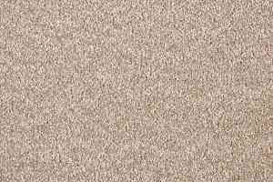 Ковролин Big Faye 305 фото  | FLOORDEALER