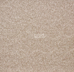 Ковролин Big Faye 305 фото 1 | FLOORDEALER