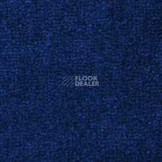 Ковролин Дюна Тафт Venetto 851 фото 1 | FLOORDEALER