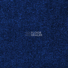 Ковролин Дюна Тафт Venetto 851 фото 1 | FLOORDEALER
