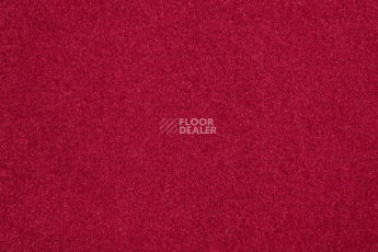 Vorwerk Passion 1000/Modena Vorwerk 1d37 фото 1 | FLOORDEALER