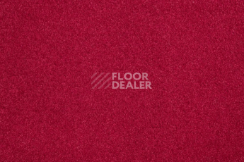 Ковролин Vorwerk Passion 1000/Modena Vorwerk 1d37 фото 1 | FLOORDEALER