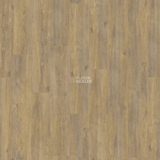 Kronotex Exquisit Plus d6009 Дуб Эльба Природный фото 3 | FLOORDEALER