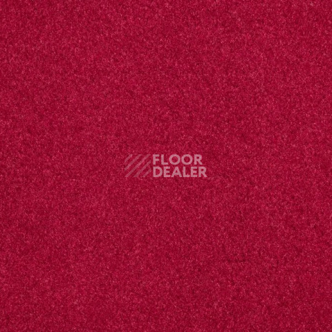 Ковролин Vorwerk Passion 1000/Modena Vorwerk 1d37 фото 1 | FLOORDEALER