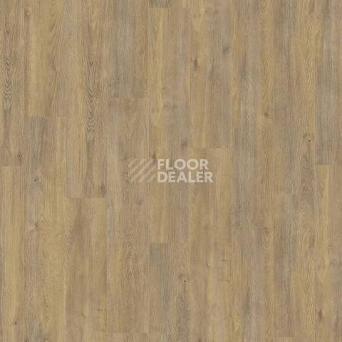 Kronotex Exquisit Plus d6009 Дуб Эльба Природный фото 3 | FLOORDEALER