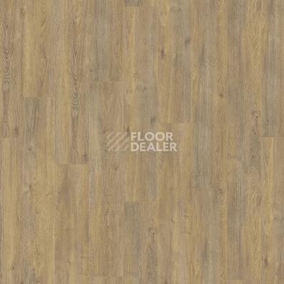 Ламинат Kronotex Exquisit Plus d6009 Дуб Эльба Природный фото 3 | FLOORDEALER