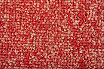 Standard Carpets Spectrum sm 527 фото 2 | FLOORDEALER